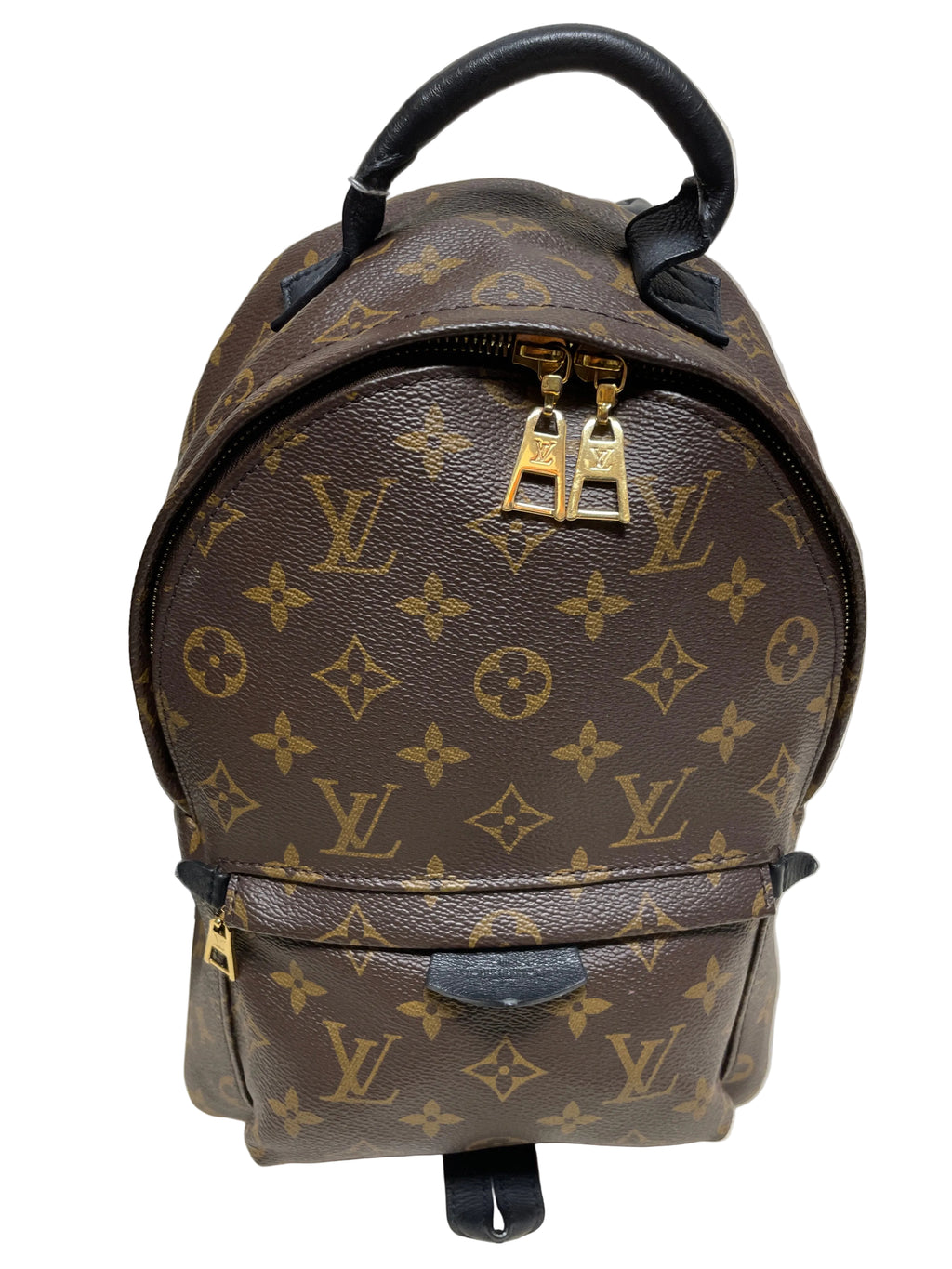Louis Vuitton Palm Springs Mini