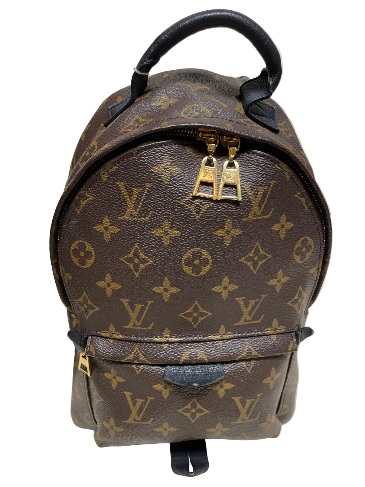 Louis Vuitton Palm Springs Mini