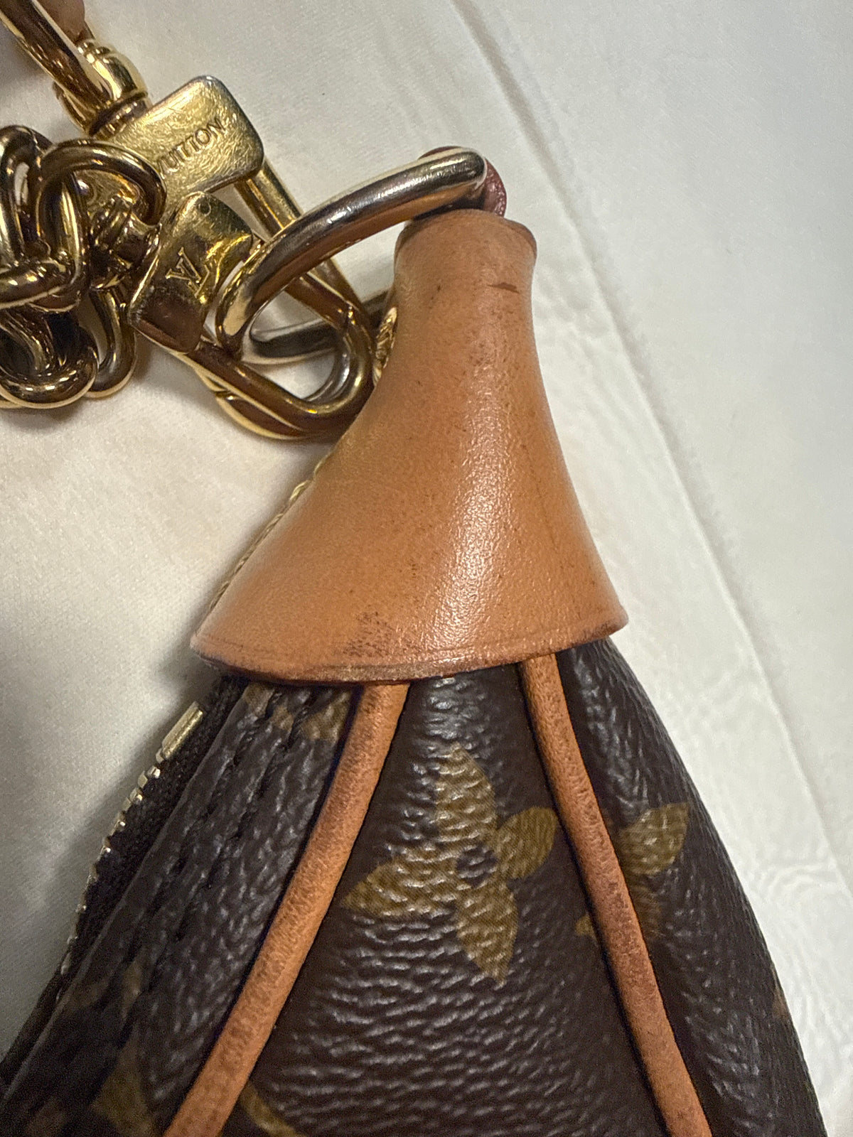 Louis Vuitton Loop Bag