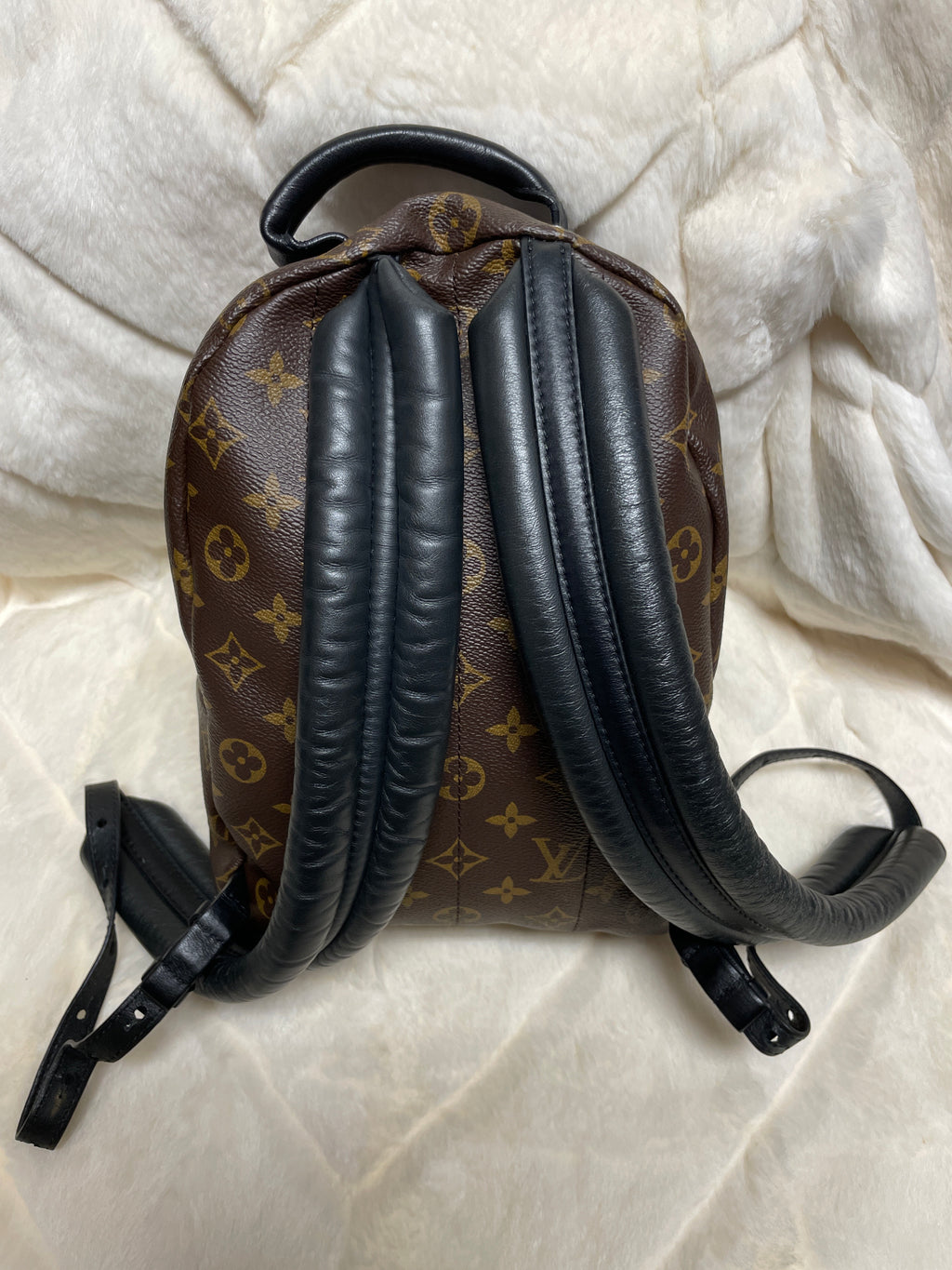 Louis Vuitton Palm Springs Mini