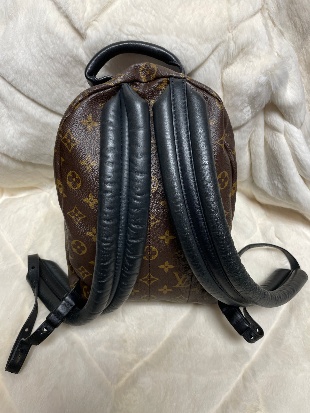 Louis Vuitton Palm Springs Mini