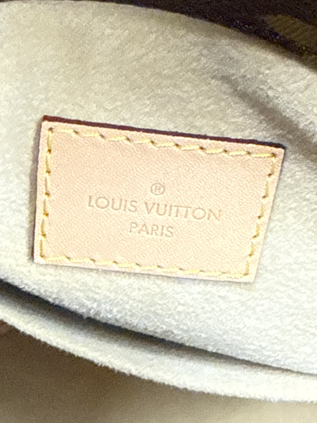 Louis Vuitton Monogram Artsy MM