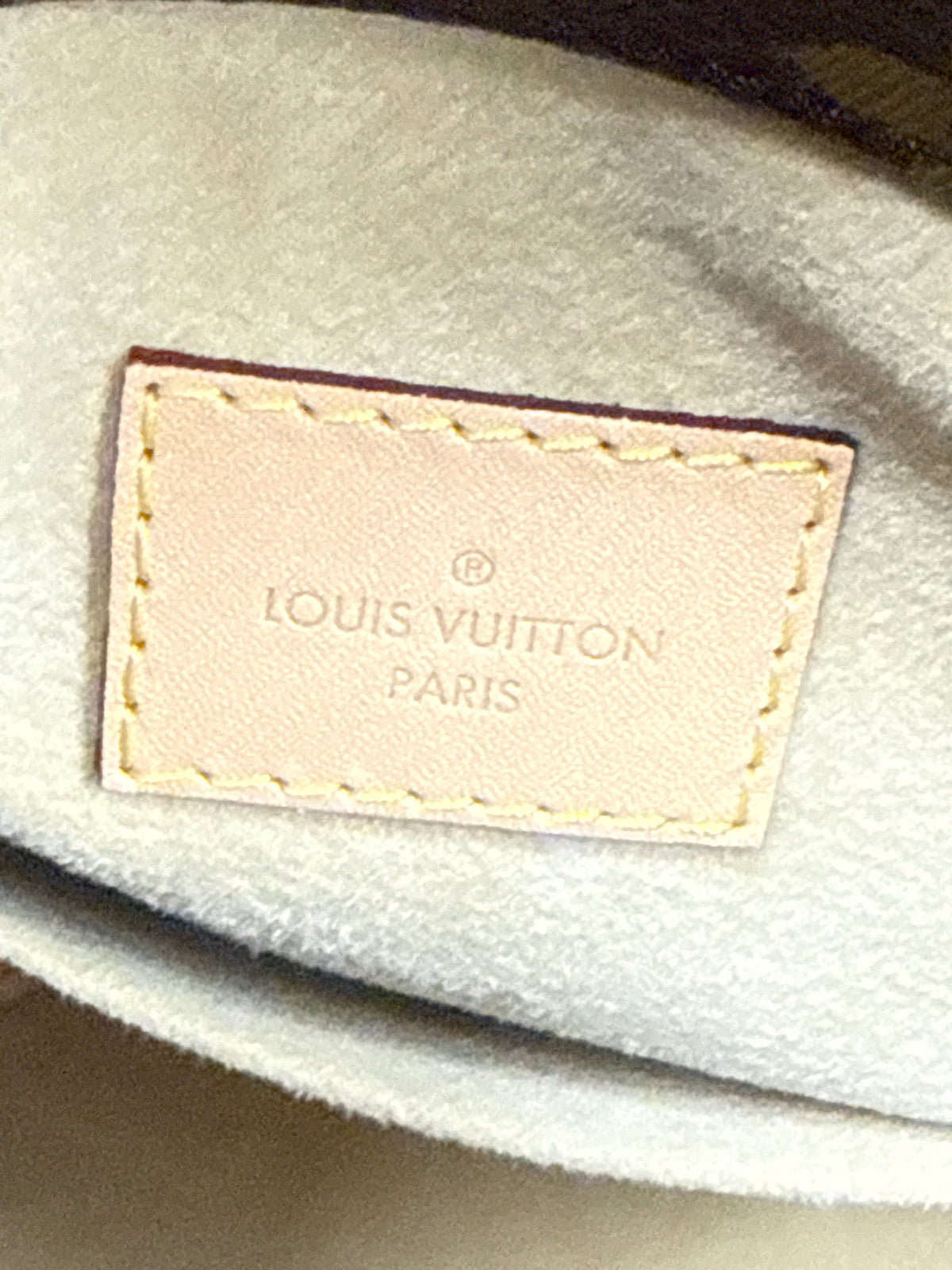 Louis Vuitton Monogram Artsy MM