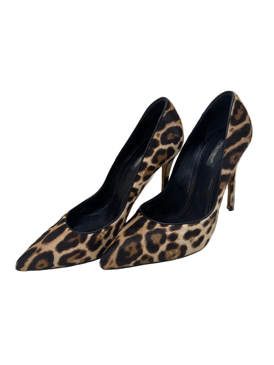 Dolce & Gabbana Leopard Ponyhair Pumps