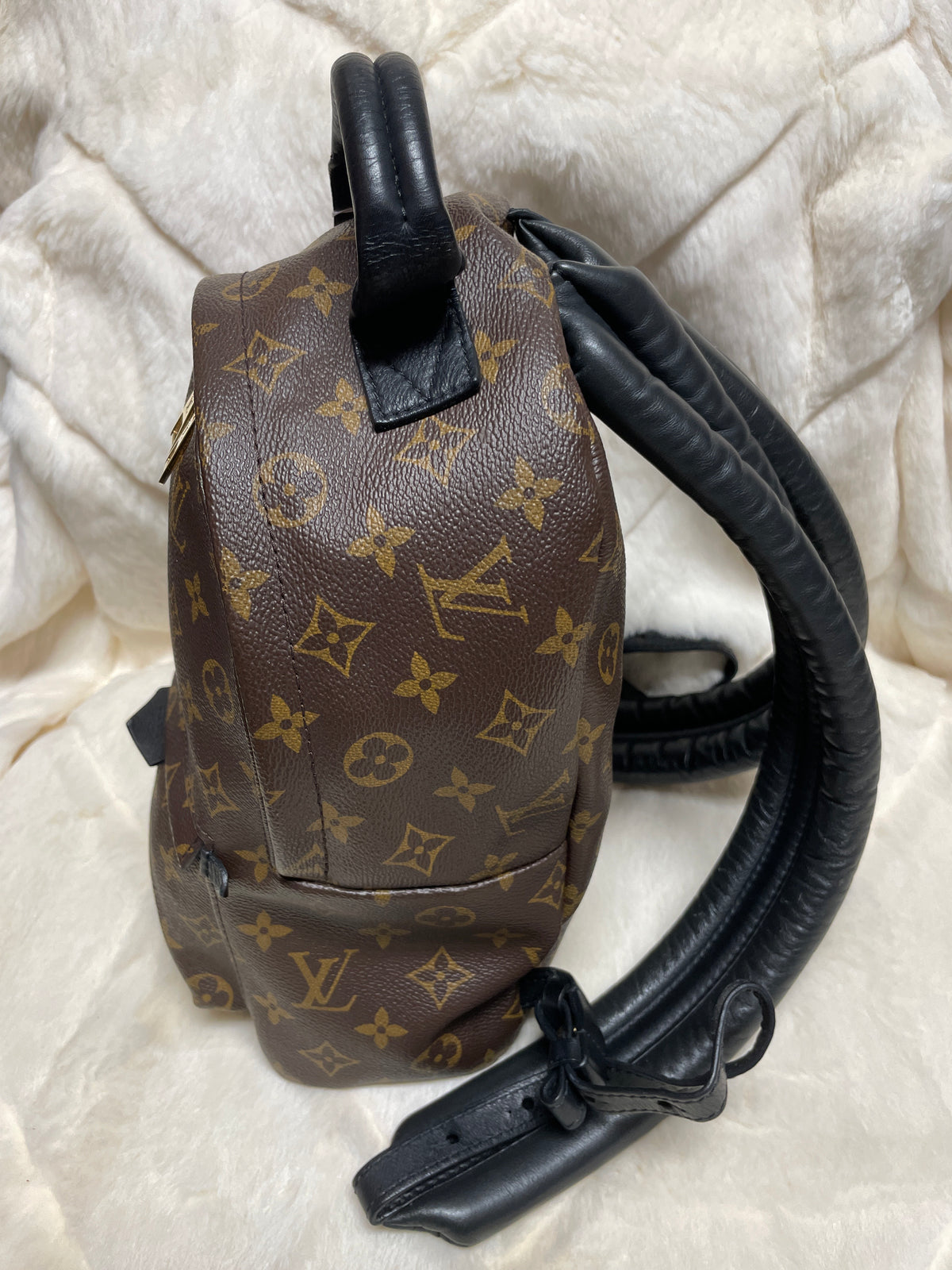Louis Vuitton Palm Springs Mini
