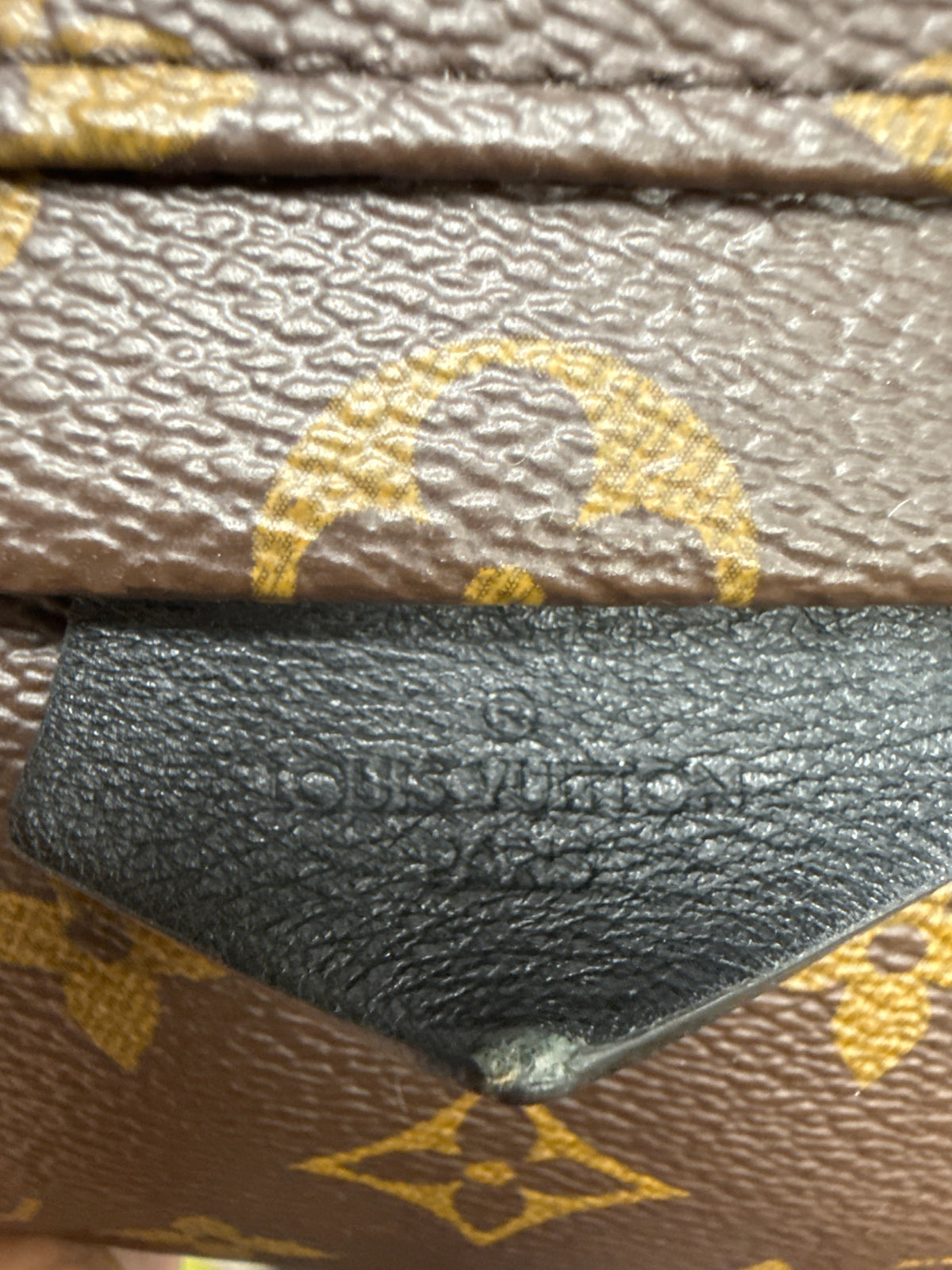 Louis Vuitton Palm Springs Mini