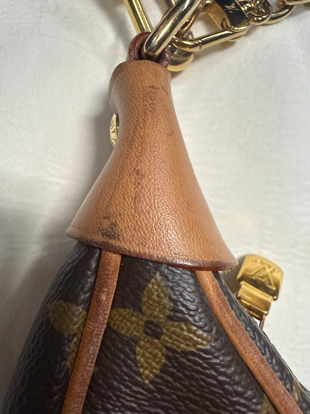 Louis Vuitton Loop Bag
