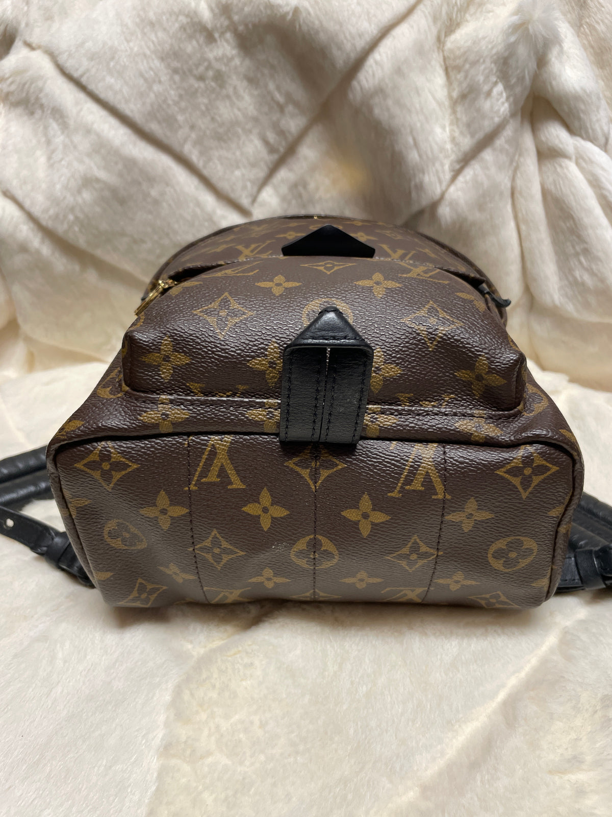 Louis Vuitton Palm Springs Mini