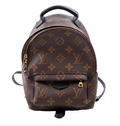 Louis Vuitton Palm Springs Mini