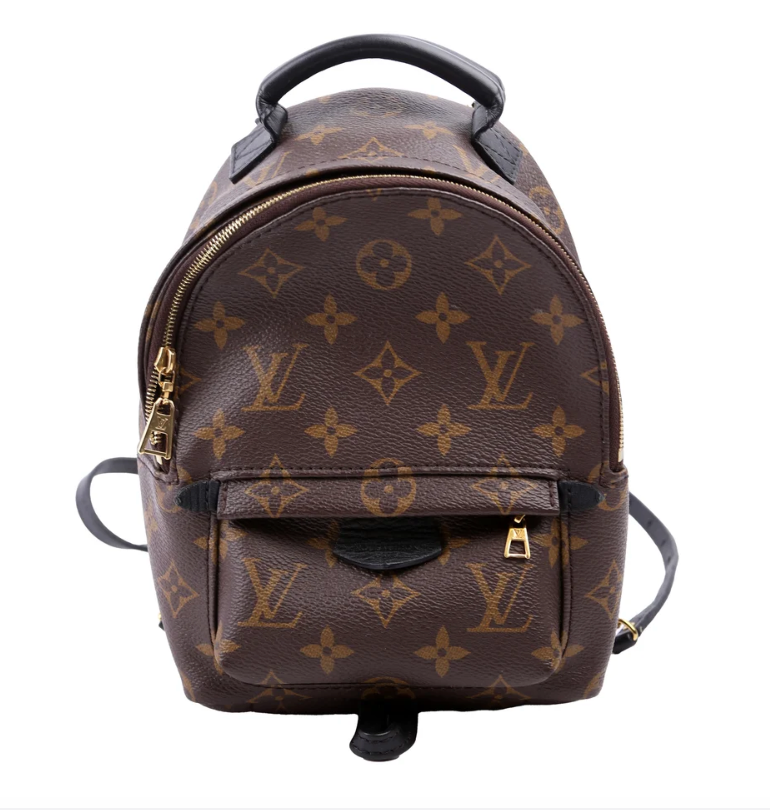 Louis Vuitton Palm Springs Mini